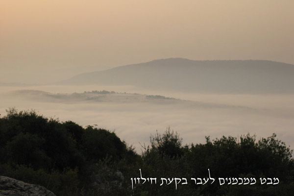תמונה של טאיקו - בית התה היפני - 4