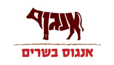 לוגו של אל באשה, דיר אל-אסד