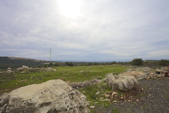 תמונה של מרוש - 3