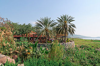 תמונה של הדגים - 2