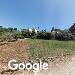 בת יער - תצוגת רחוב