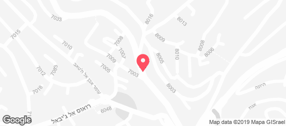 סאלם ותמיר מסד - מפה