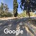 קמליה - תצוגת רחוב