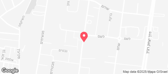 שניצליין  - מפה