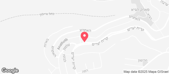 קינג פיצה - מפה