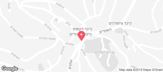 פיצה דומינו - מפה
