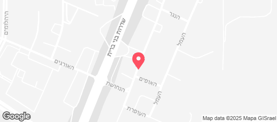 הדסה כל ההבדל בטעם - מפה