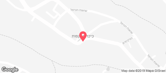 פיצה טרמינל - מפה