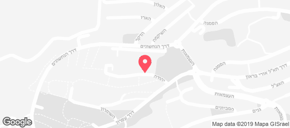 פיצה פלייס - מפה