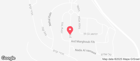 פיצה פיזזה - מפה