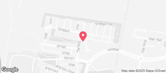 פיצה רומא - מפה