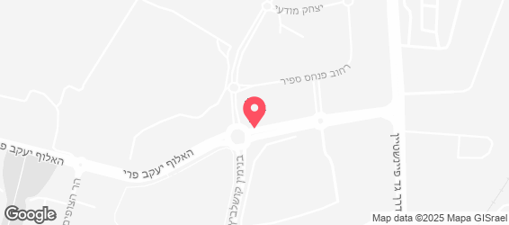 השניצלן רחובות - מפה