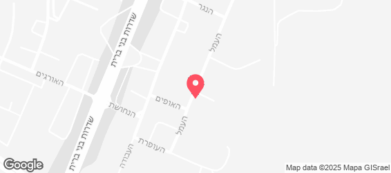 הירושלמי - מפה