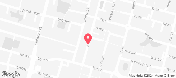 "לקוח בדיקה" - מפה