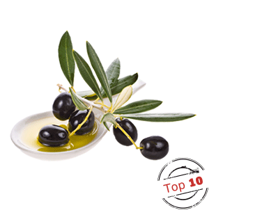 מסעדות מומלצות בצפון